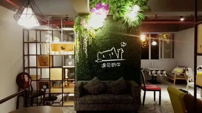 遇见奶牛奶茶店配方为什么需要本土化