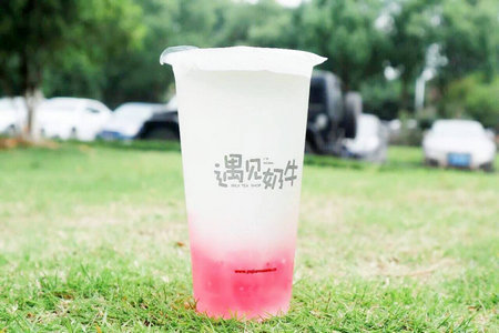 做个遇见奶牛加盟店的生意潜力大吗