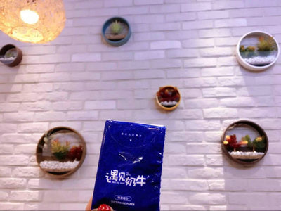 在黄冈开一家遇见奶牛奶茶加盟店能够赚钱吗