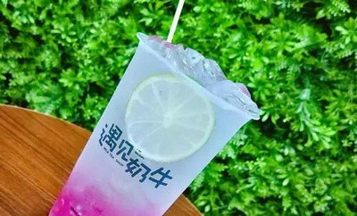 为什么女性创业开奶茶店生意更好