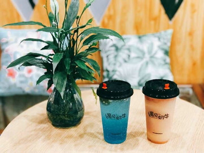 淄博市的县级有可加盟的奶茶店吗