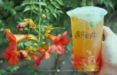 牡丹江开个遇见奶牛奶茶店风险大吗