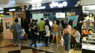 想开家奶茶加盟店,遇见奶牛有经验