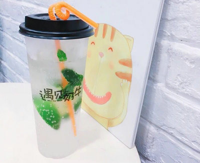 奶茶加盟冷饮