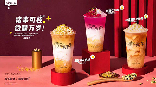 遇见奶牛上新预告