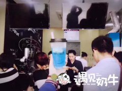 开在学校的遇见奶牛奶茶加盟店如何经营？