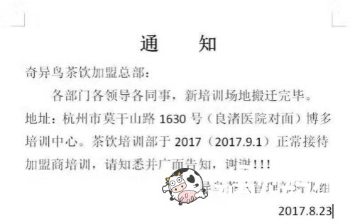 遇见奶牛总部通知