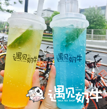 小本创业项目遇见奶牛