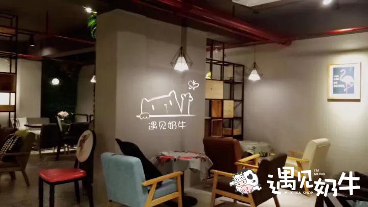 遇见奶牛奶茶连锁店