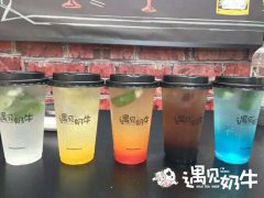 热奶茶加盟店双十一如何做活动