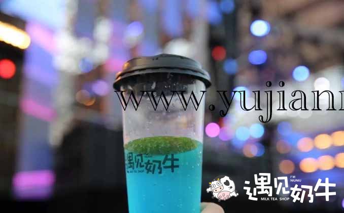 加盟品牌奶茶店