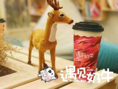 开茶饮加盟店都会遇到哪些风险