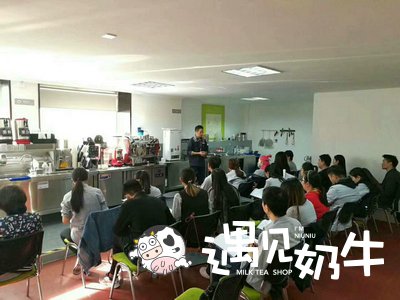 遇见奶牛总部培训