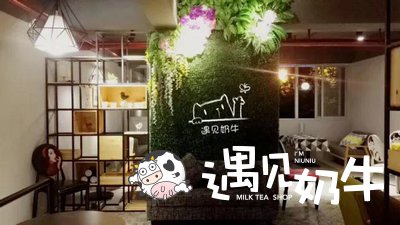 遇见奶牛加盟店网红风格