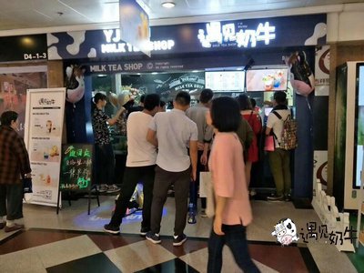 如何开奶茶店，遇见奶牛有哪些经验技巧