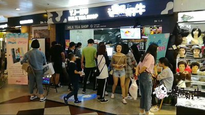 三线城市开遇见奶牛奶茶店怎么样？